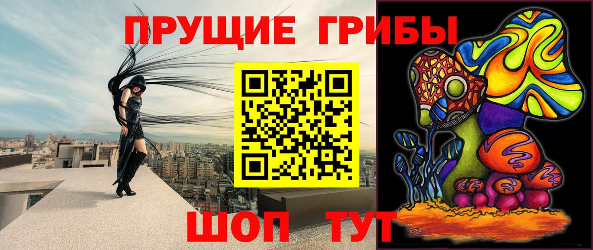 Псилоцибиновые грибы мухоморы  Вход с VPN  Михайловка  Псилоцибиновые грибы прущие грибы 